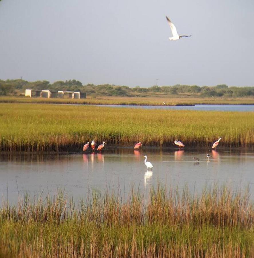 Las Casitas on Magnolia Beach - Casita A Port Lavaca Esterno foto